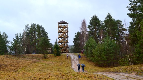 Vasargelišķu skatu tornis - 1