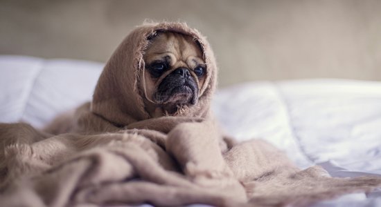 В течение дня во многих местах ожидается дождь