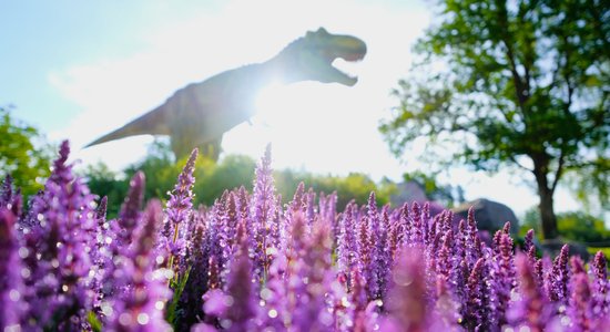 Foto: Lāzeršautuve, dinozauru atrakcijas pieaugušajiem – Avārijas brigādes parka jaunumi šosezon