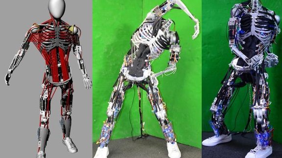 Kenshiro Robot. Foto - phys.org