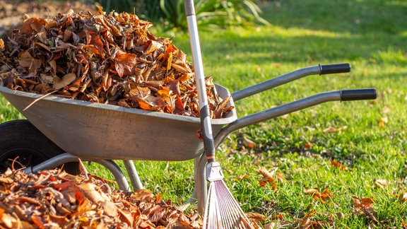 rudens dārza darbi, lapas, rudens lapas, ķerra, grābeklis