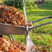 Rudens darbi: četri veidi, kā izmantot savāktās dārza lapas