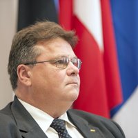Lietuvas ārlietu ministrs: Austrumukrainā pārliecinājos, ka separātisti neievēro pamieru