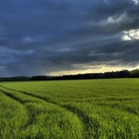 Синоптики: в ближайшее время засуха Латвии не грозит