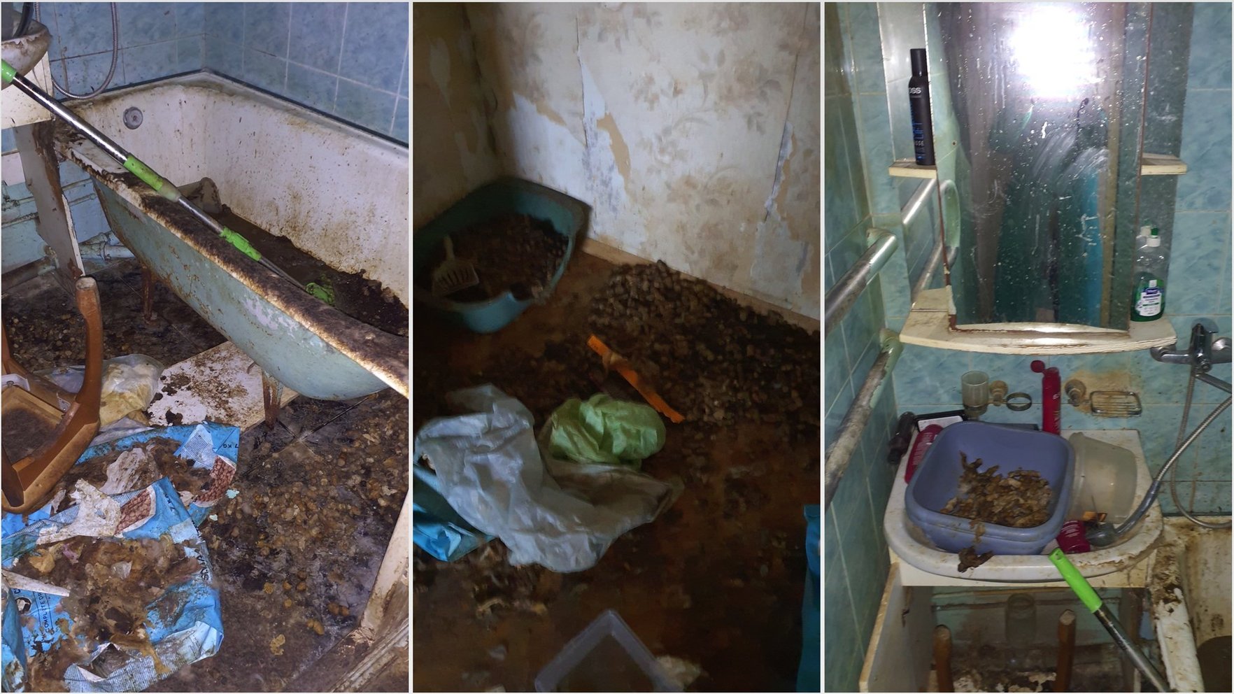 Dzīvoklī Imantā likumsargi atrod 27 novārgušus kaķus un dzīvnieku mirstīgās atliekas