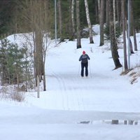 Arī šogad turpināsies cīņa ar egļu mizgraužiem – būs vairāki ierobežojumi