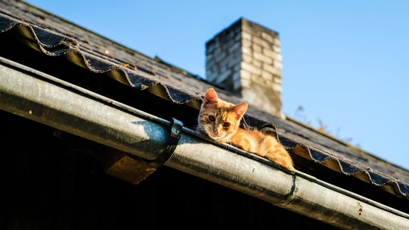 Piektdien būs saulains un silts laiks