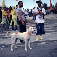 Turcijas premjers 'pēdējo reizi' brīdina protestētājus