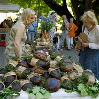 В выходные состоится выездная вакцинация на ярмарках