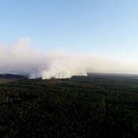 На тушение пожара под Талси брошены дополнительные силы: выгорело уже 715 га леса и болот