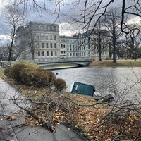 VUGD līdz 169 pieaudzis izsaukumu skaits spēcīgā vēja radīto seku novēršanai 