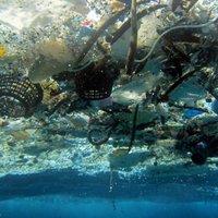 Капитан Мур и мусорный остров: крестовый поход против пластика в океане