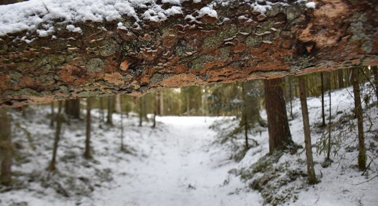 Valmieras novadā sācies pārgājienu cikls 'Muižnieka atslēgu glabātājs'