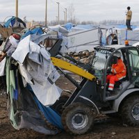 Pabeigta Kalē 'džungļu' nojaukšana