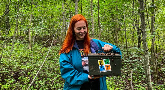 Dārgumu medības mežā. Tavs jaunais hobijs – slēpņošana