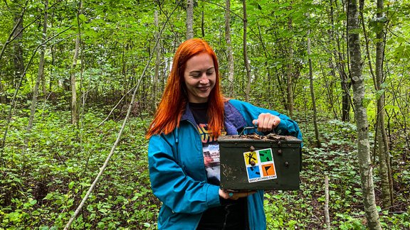 Dārgumu medības mežā. Tavs jaunais hobijs – slēpņošana