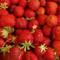 Про ягоды. От чего они лечат и рецепты приготовления