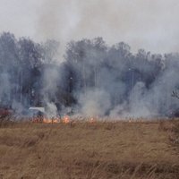 Svētdien dzēsti 179 kūlas ugunsgrēki; lielākais 20 hektāru platībā