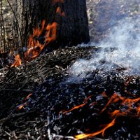 Ķemeru Nacionālajā parkā turpinās kūdras ugunsgrēks