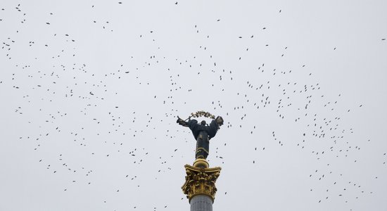 NYT: Украина перед возможными мирными переговорами ставит на первое место гарантии безопасности, а не возврат территорий