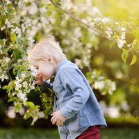 Bērnam alerģija: tās veidi, simptomi un iespējamā palīdzība