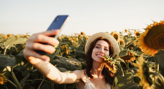 Saulespuķu lauki Latvijā, kuros drīkst viesoties un fotografēties