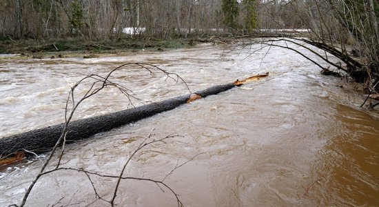В Латвии затоплены поймы рек; уровень воды снизится на следующей неделе