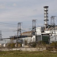 В чернобыльской зоне возобновился природный пожар