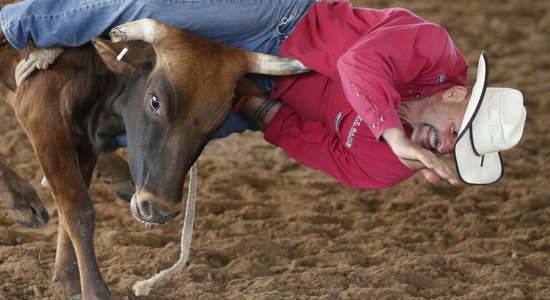 Amerikā noticis visai neparasts pasākums – geju rodeo