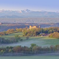 Francijā par brīvu dāvina pili. Taču ir kāds āķis