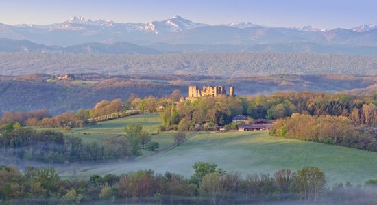 Francijā par brīvu dāvina pili. Taču ir kāds āķis