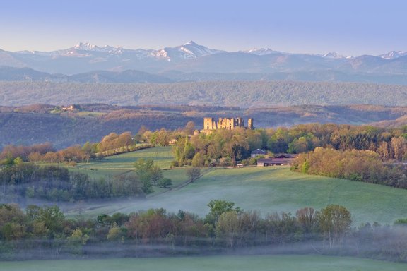 Francijā par brīvu dāvina pili. Taču ir kāds āķis