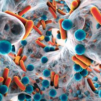 Antibiotiku rezistence – kāpēc bīstama un kā cīnīties