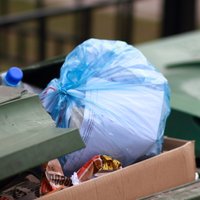 В рижских парках появятся большие мусорники: маленькие "не справляются" с едой навынос