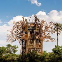 Baobaba koka māja: guli zem zvaigznēm, dabas skaņu un Āfrikas tuksneša burvības apņemts