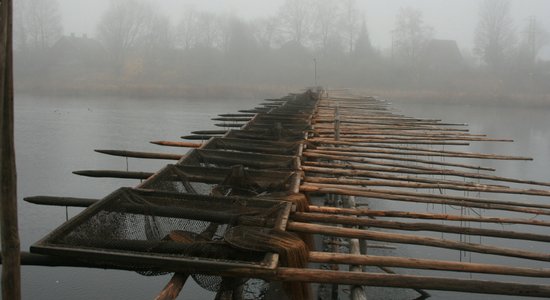 'Latvijas Goda aplis' aicina uz Nēģu dienu Salacgrīvas novadā