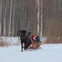 Izklaides dabā un mierpilna atpūta: idejas, kā pavadīt ziemas brīvdienas Latgalē