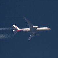 MH17 pasažieris pirms nāves pajoko: 'Ja nu tā pazūd'