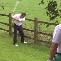 Video: Pat Taigers Vudss lepotos ar sitienu, kāds sanāca britu golfa amatierim