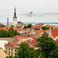 Партия зеленых Эстонии предлагает платить зарплату гражданина страны