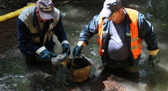 Активисты и экологи заявили о химическом заражении на месте строительства хорды в Москве