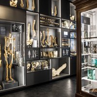 Foto: Durvis apmeklētājiem vēris jauns un moderns Anatomijas muzejs