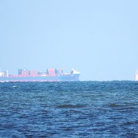 Postimees: во время аварии на трубопроводе Balticconnector рядом находилось китайское судно