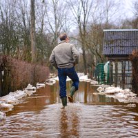 Паводок: уровень воды растет, животным требуется помощь