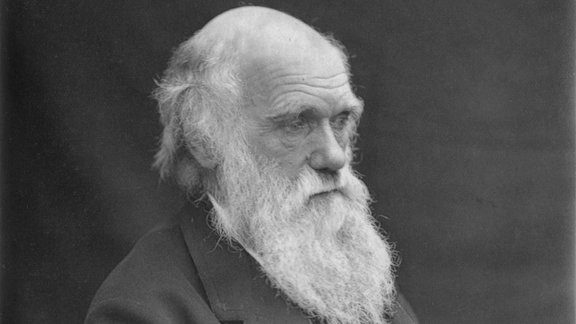 1878_Darwin_photo_by_Leonard_from_Woodall_1884_-_cropped_grayed_partially_cleaned