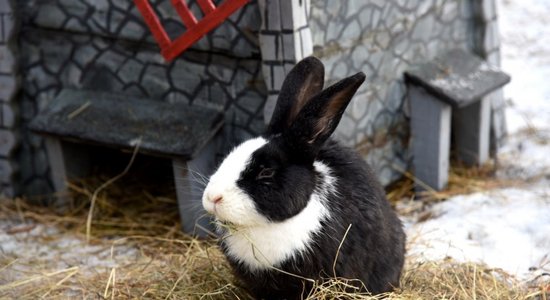 В среду будет облачно, местами ожидаются осадки