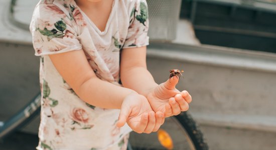 Piedzīvojums māca patstāvību: vāc ziedojumus vasaras nometnei bērniem ar īpašām vajadzībām