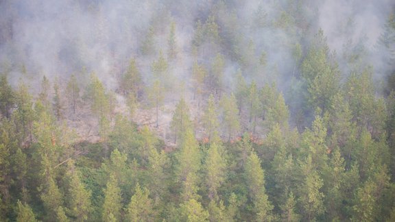 Ugunsgrēka dzēšana Valdgales pagastā  - 13