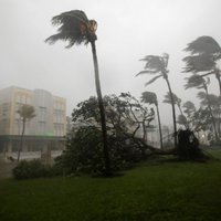 "Ирма" над Флоридой: скорость ветра достигает 210 км/ч