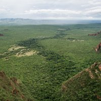 Ученые восстановили из пепла лес возрастом в 300 млн лет